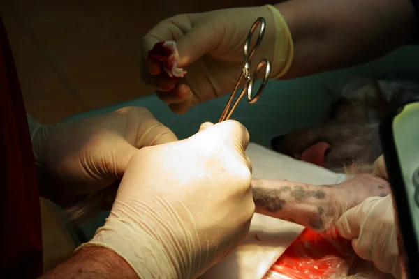 矫形外科医生在手术房 — 图库照片