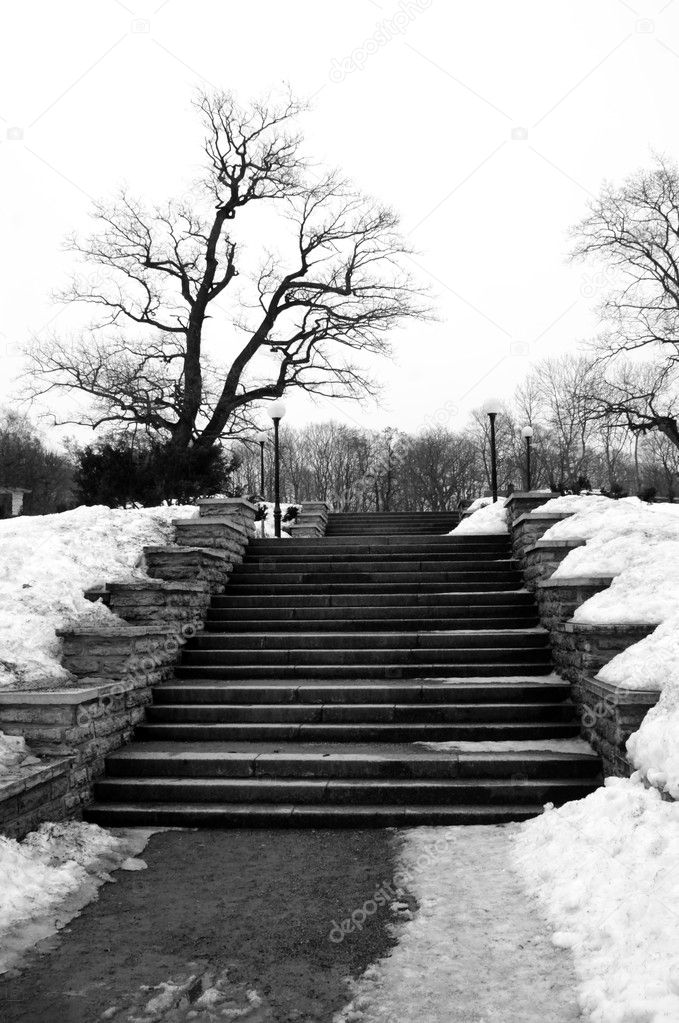 Stone steps in the winter park