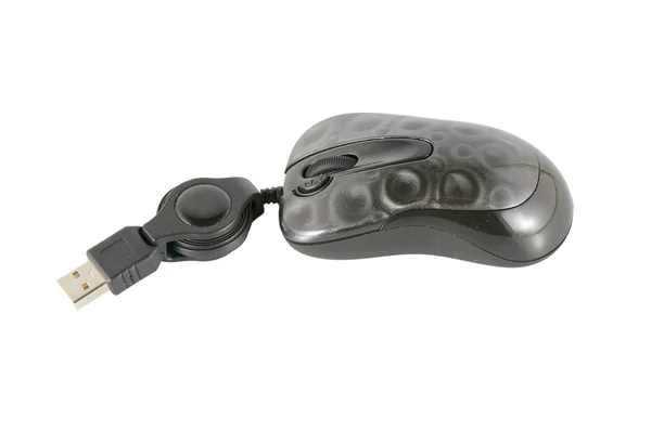 The computer mouse with a cable — Stock Photo, Image