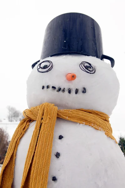 Snowman frost — Stock Photo, Image