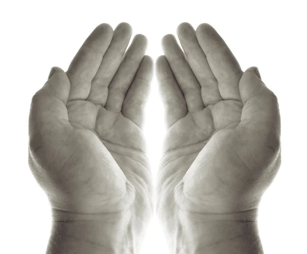 Hands pray — Stock Photo, Image