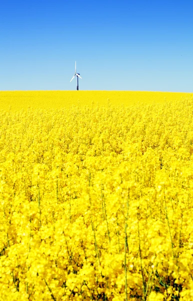 stock image Wind turbine and field