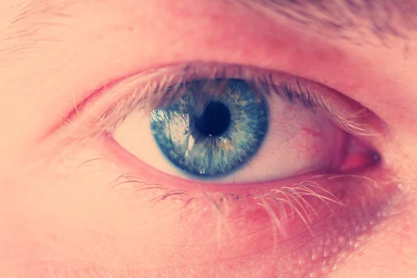 Blå ögat iris — Stockfoto