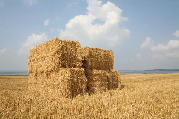 収穫干し草わらのベール — ストック写真
