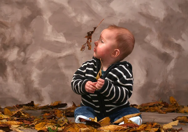 Baby-leaf fall — Stockfoto