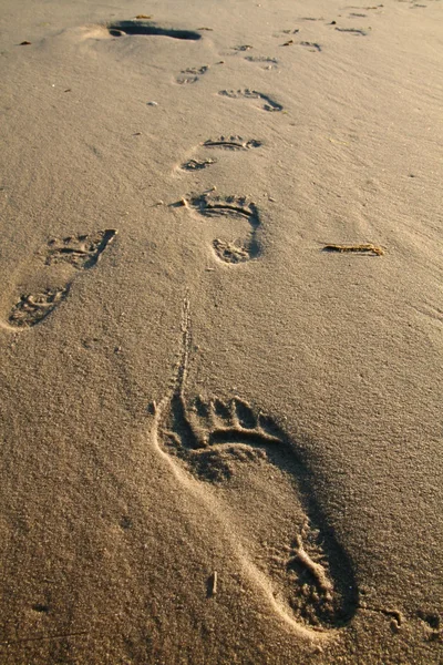 Footprint sand and beach — Stock Photo, Image