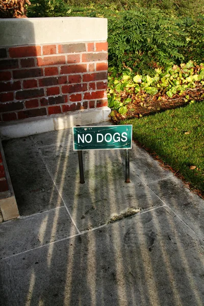 No hay perros signo parque —  Fotos de Stock