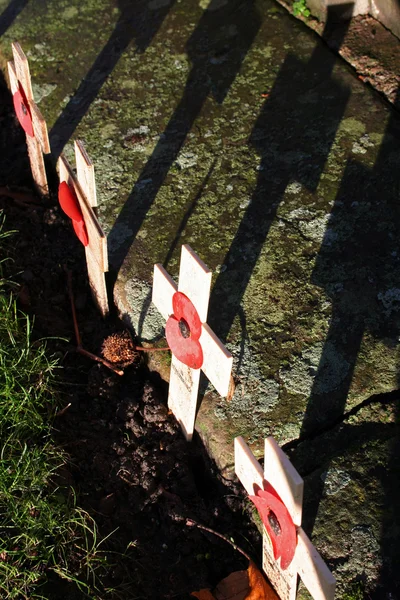 Poppy grave remembrance — Stock Photo, Image