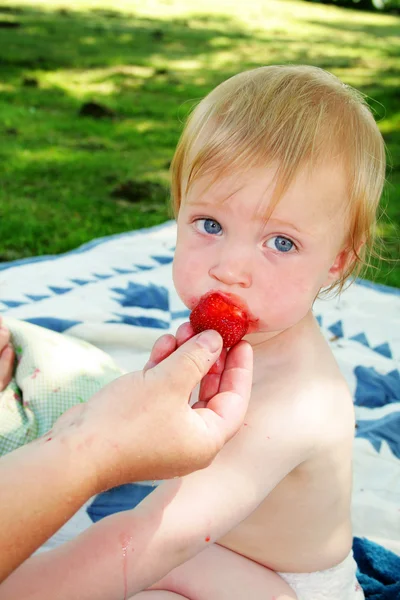 Child strawberries — Stock Photo, Image
