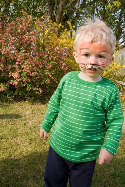 Obličej malování tiger chlapec dítě — Stock fotografie