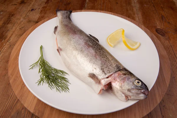 Fish trout meal plate