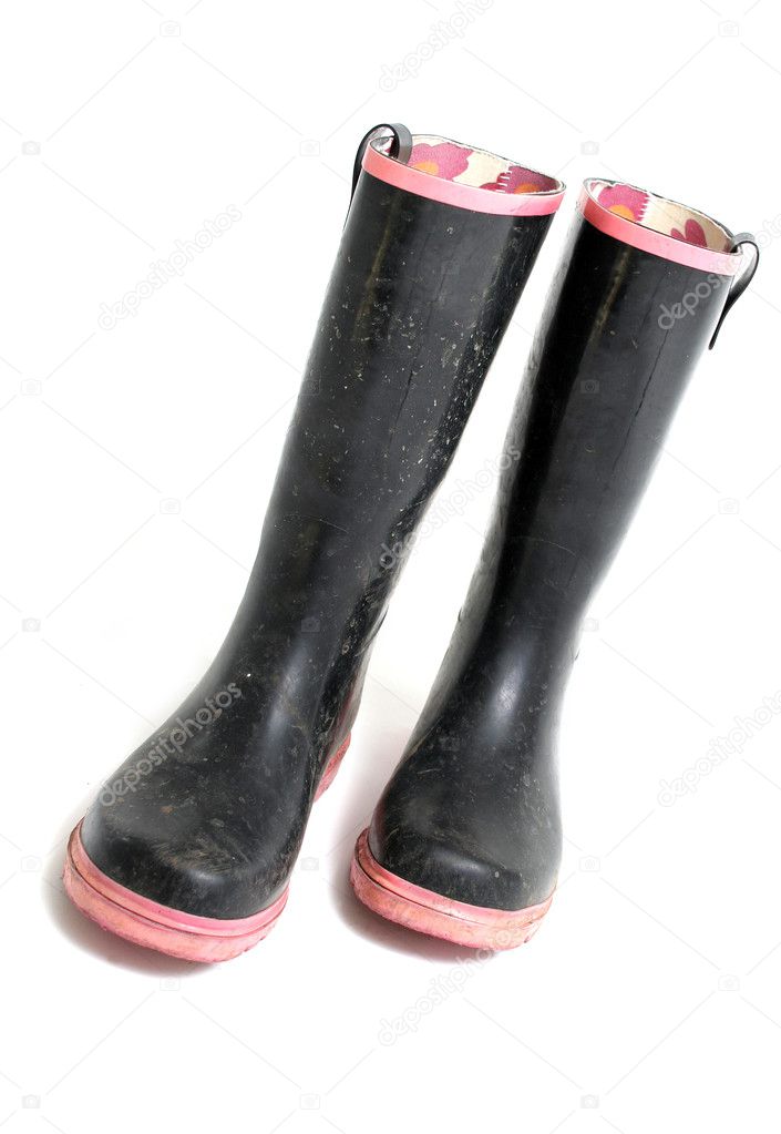 Wellington boots wellies
