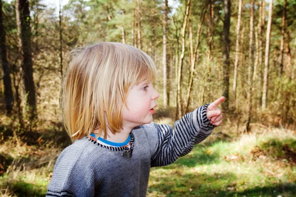 Gyermek Erdő Látszó Ijedt Vagy Meglepett Fiú Kíváncsi Kifejezés — Stock Fotó