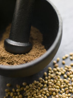 Close up of Coriander Powder in a Pestle and Mortar with Coriander Seeds clipart