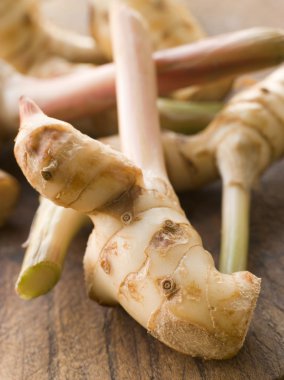 Close up image of Stem of Galangal Root clipart