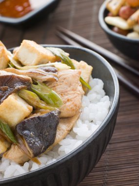 Bowl of Chicken and Mushroom Donburi with Fried Tofu clipart