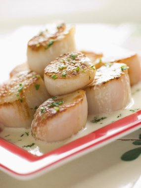 Seared Scallops with Cava Cream and Herb Sauce clipart