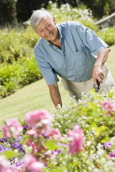 Senior man working in garden — Stock Photo, Image