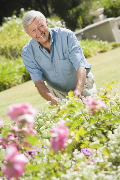 シニア男性のこてで庭で作業 — ストック写真
