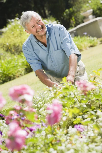 Senior férfi dolgozó kert — Stock Fotó