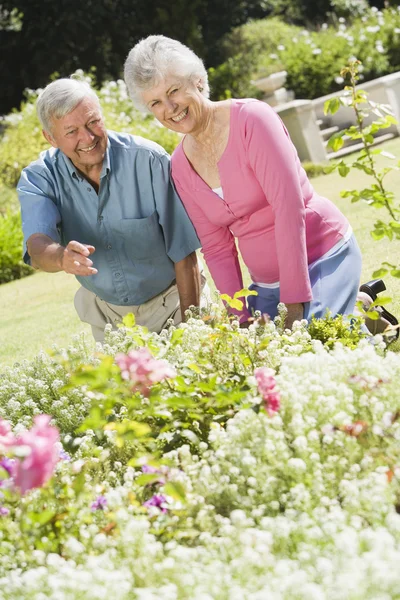 Senior couple working in garden — Stock Photo, Image