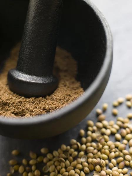 Close Coriander Powder Pestle Mortar Coriander Seeds — Stock Photo, Image