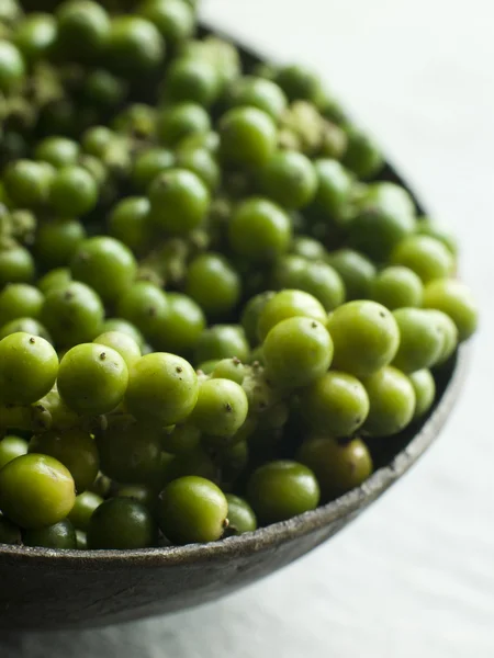 Green Peppercorns on the vine — Stock Photo, Image
