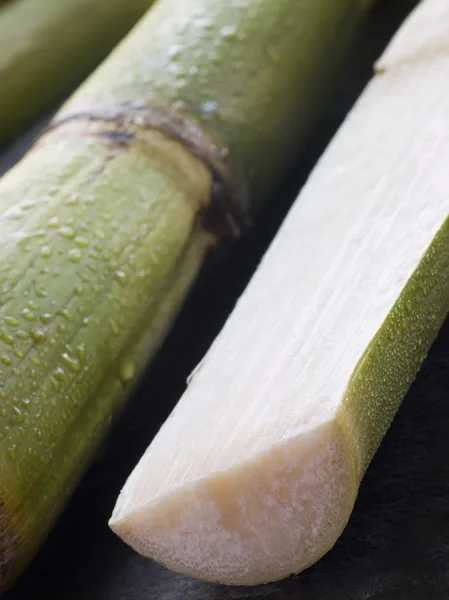 Close Fresh Sugar Cane Split Half — Stock Photo, Image