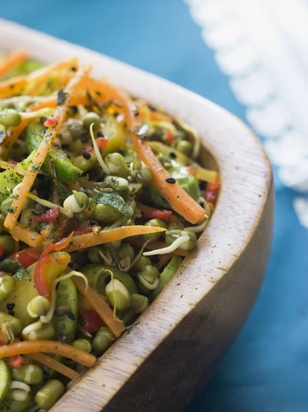 Bowl Moong Bean Tikka Salad — Stock Photo, Image