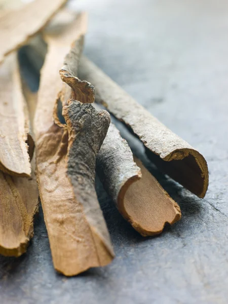 Cinnamon Bark — Stock Photo, Image