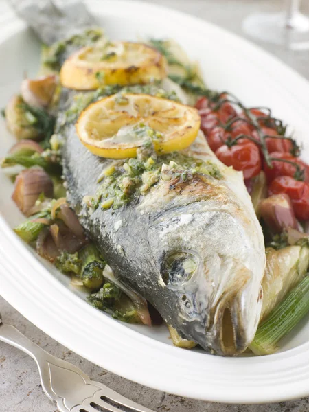 Whole Roasted Sea Bass with Fennel Lemon Cherry Vine Tomatoes an — Stock Photo, Image