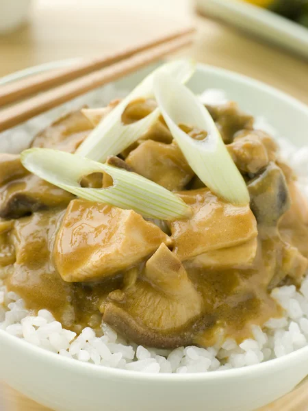 Pollo e funghi al curry con riso Koshihikari — Foto Stock