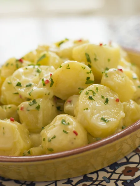 Kartoffelsalat mit Chili-Koriander und Allioli — Stockfoto