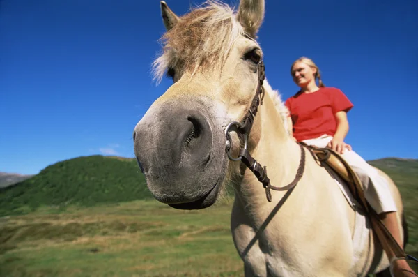 Jovem Mulher Montando Cavalo Ambiente Rural — Fotografia de Stock
