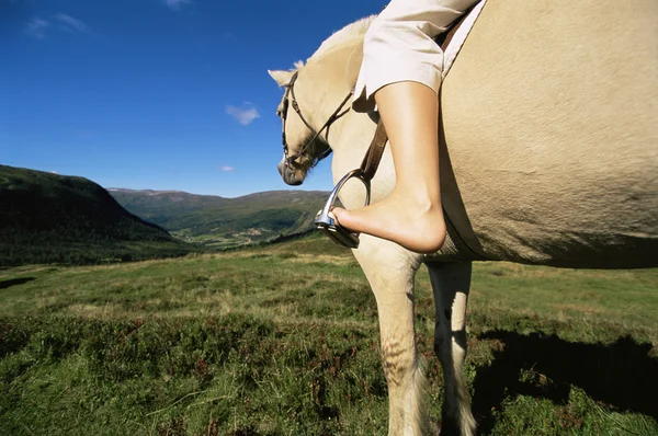Молодая Женщина Верхом Лошади Сельской Местности — стоковое фото