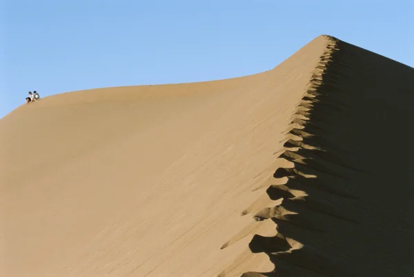 Dois Montando Camelo Através Deserto Cascos Primeiro Plano — Fotografia de Stock