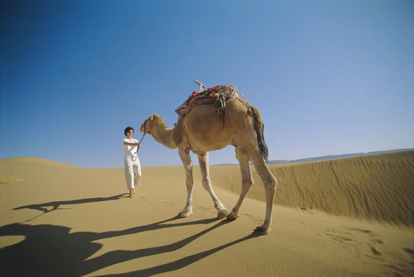 Woman leading camel across desert — Stock Photo, Image