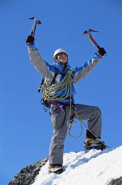 庆祝在白雪皑皑的山顶上的年轻人 — 图库照片