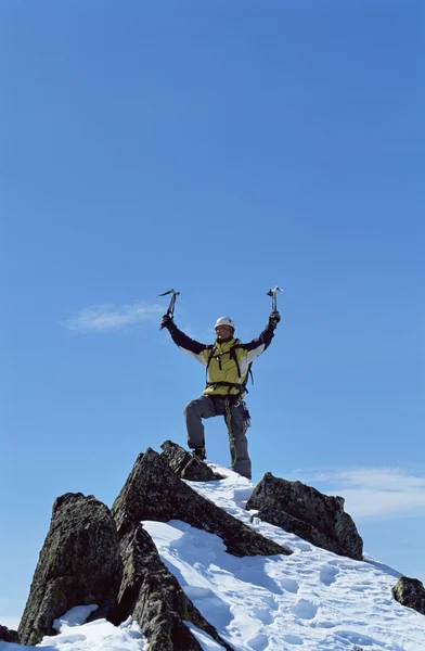Mladý muž slaví, na vrchol hory — Stock fotografie