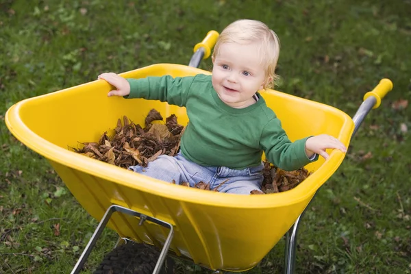 幼児の手押し車に乗って秋葉でいっぱい — ストック写真