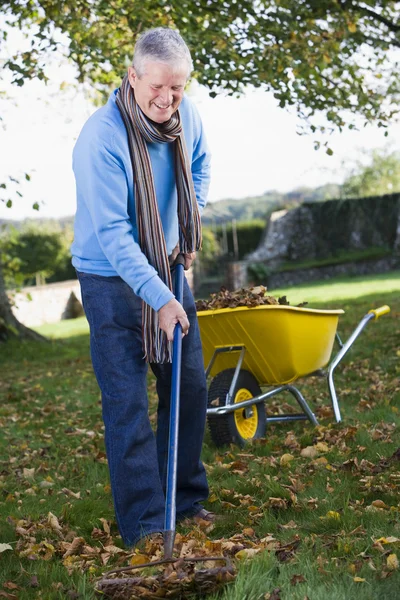 Senior Sammelt Herbstlaub Garten — Stockfoto
