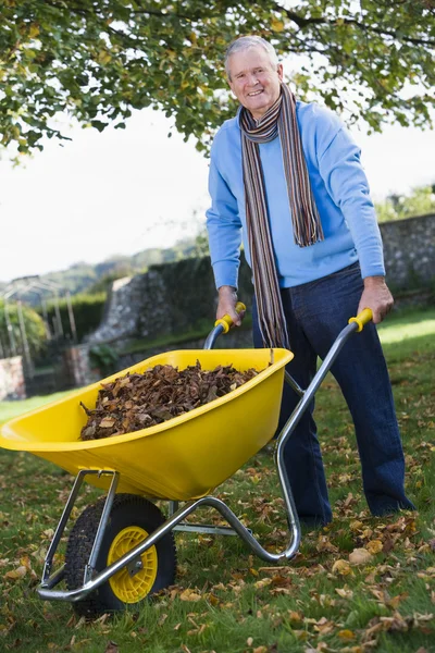 Senior man verzamelen van bladeren in kruiwagen — Stockfoto