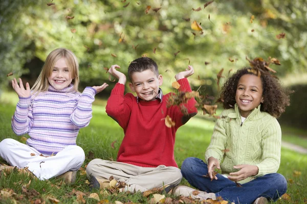 Ομάδα Των Παιδιών Που Παίζουν Στα Φύλλα Του Φθινοπώρου — Φωτογραφία Αρχείου