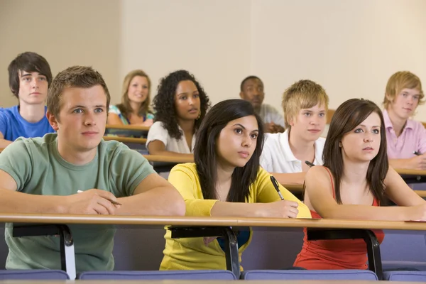 Főiskolai Hallgatók Hallgatni Egy Egyetemi Előadás — Stock Fotó