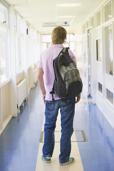 男性大学生大学コリードに立っているの背面図 — ストック写真