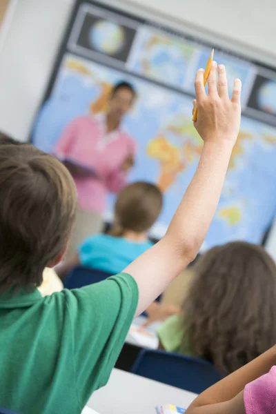 stock image Elementary school pupil asking question