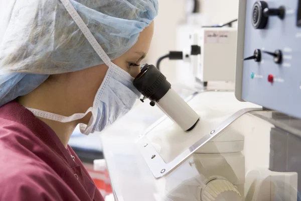 Эмбриолог с помощью микроскопа — стоковое фото