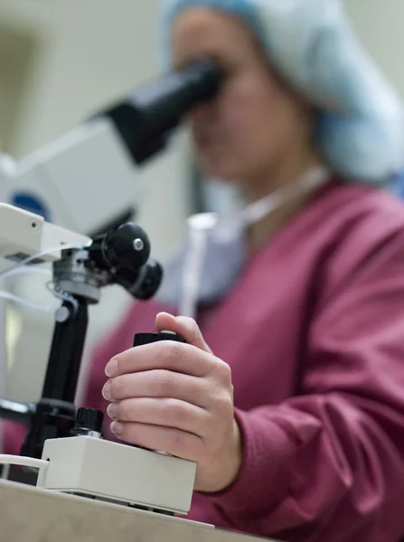 Εμβρυολόγος Που Τελειοποιεί Την Ενδοκυτταροπλασματική Έγχυση Σπέρματος Icsi — Φωτογραφία Αρχείου