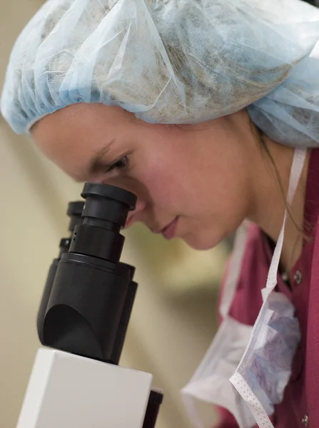 Эмбриолог Выполняющий Внутрицитоплазматическую Инъекцию Спермы Икси — стоковое фото