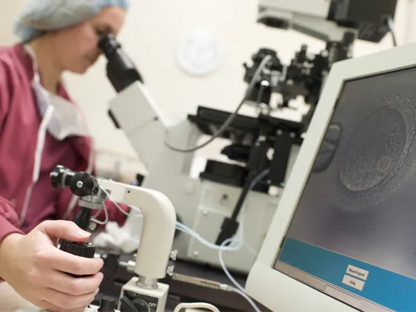 Эмбриолог, выполняющий внутрицитоплазматическую инъекцию спермы — стоковое фото